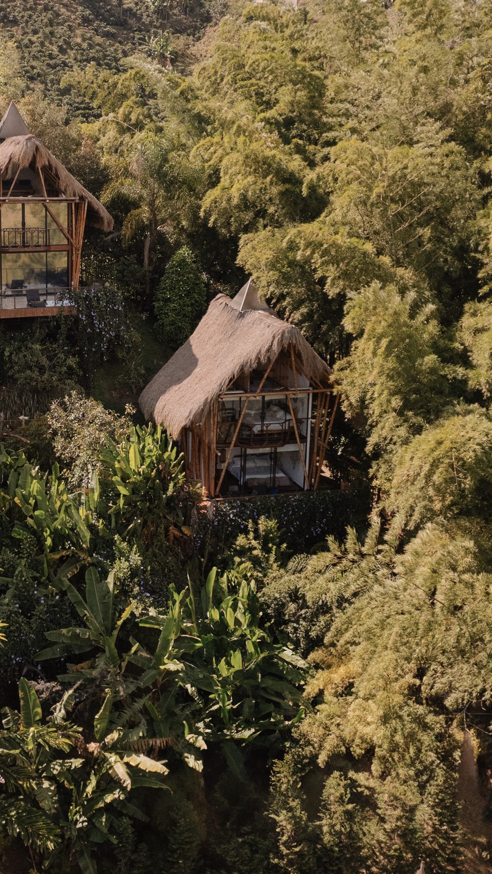 Cabañas de diseño en bambú de IBUKU integradas en el bosque de Guatapé